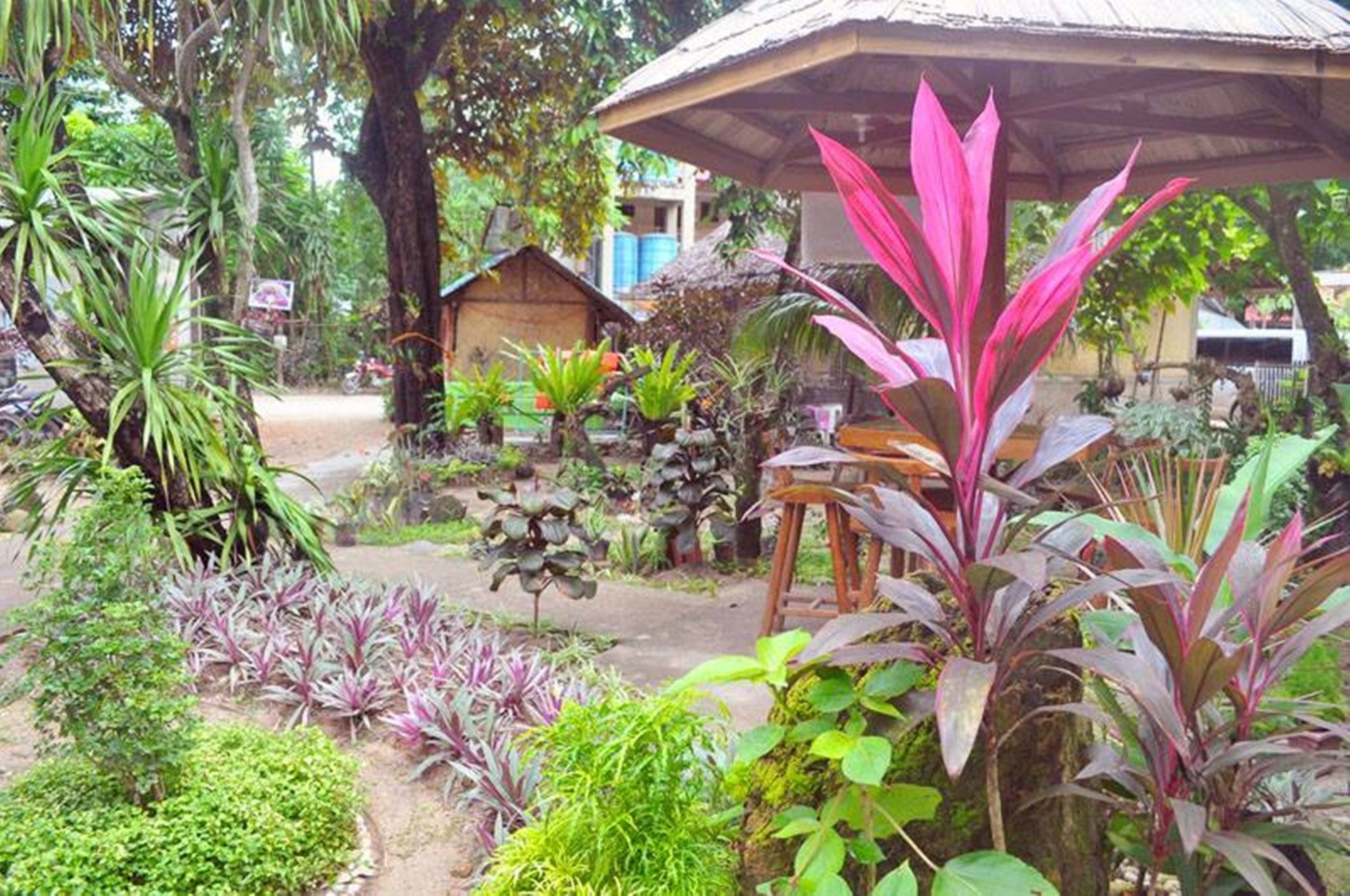 Peak House Garden Pension El Nido Kültér fotó
